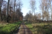 Forêt Verte (Le Houlay)